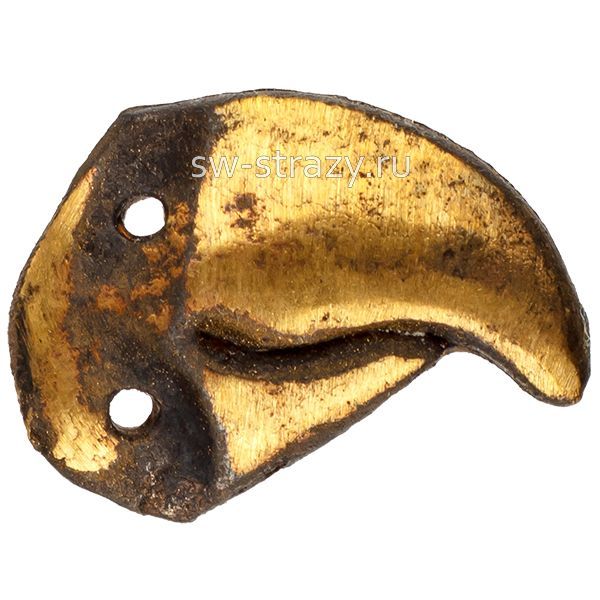 Клюв попугая большой (1-014)